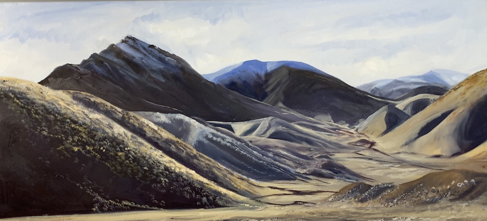 Debbie Lambert| Lindis Pass| McAtamney Gallery and Design Store | Geraldine NZ